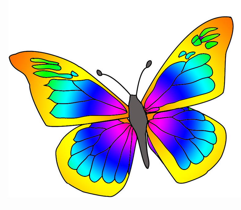 Colorful butterfly clipart
