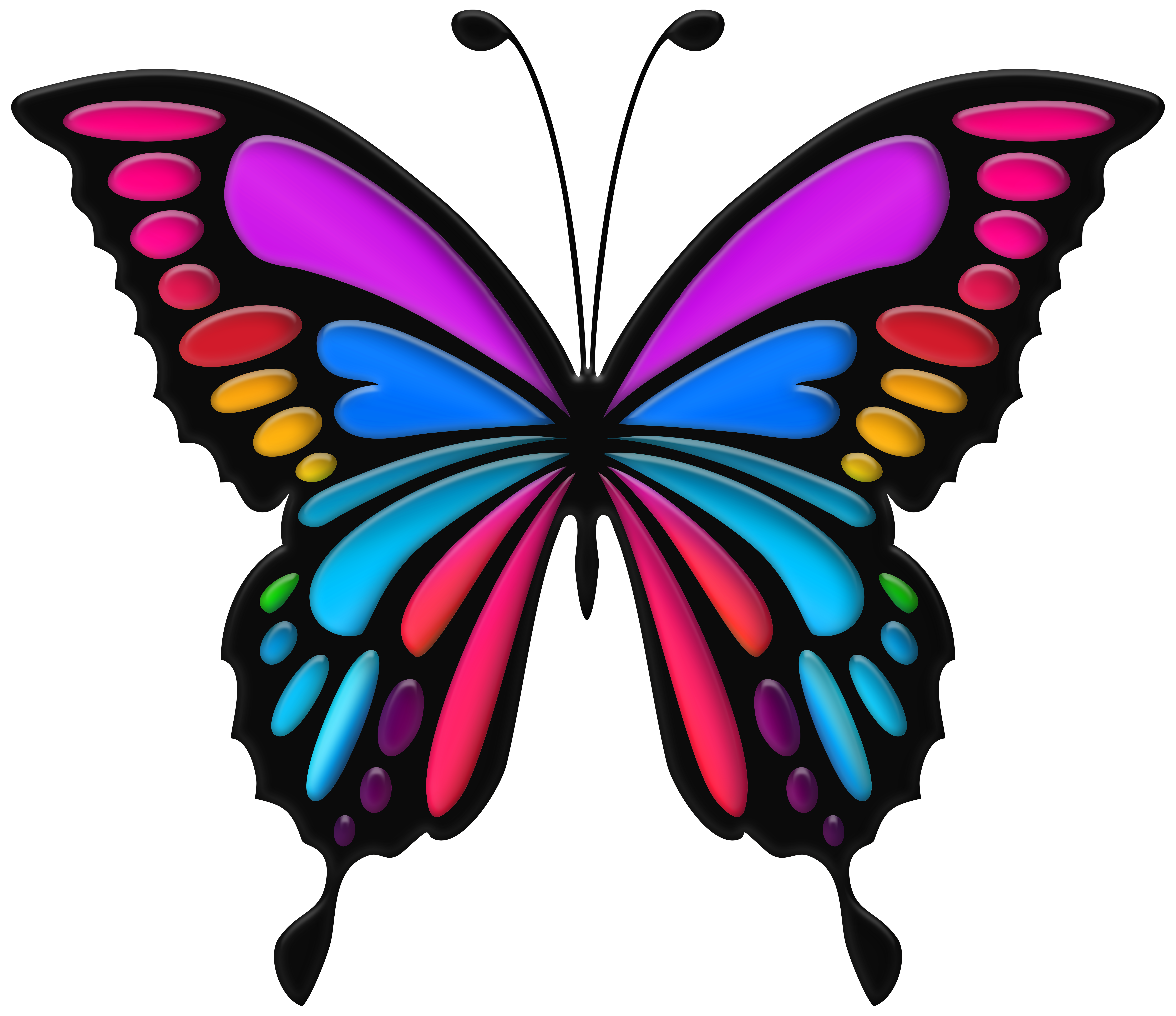 Colorful butterfly png.
