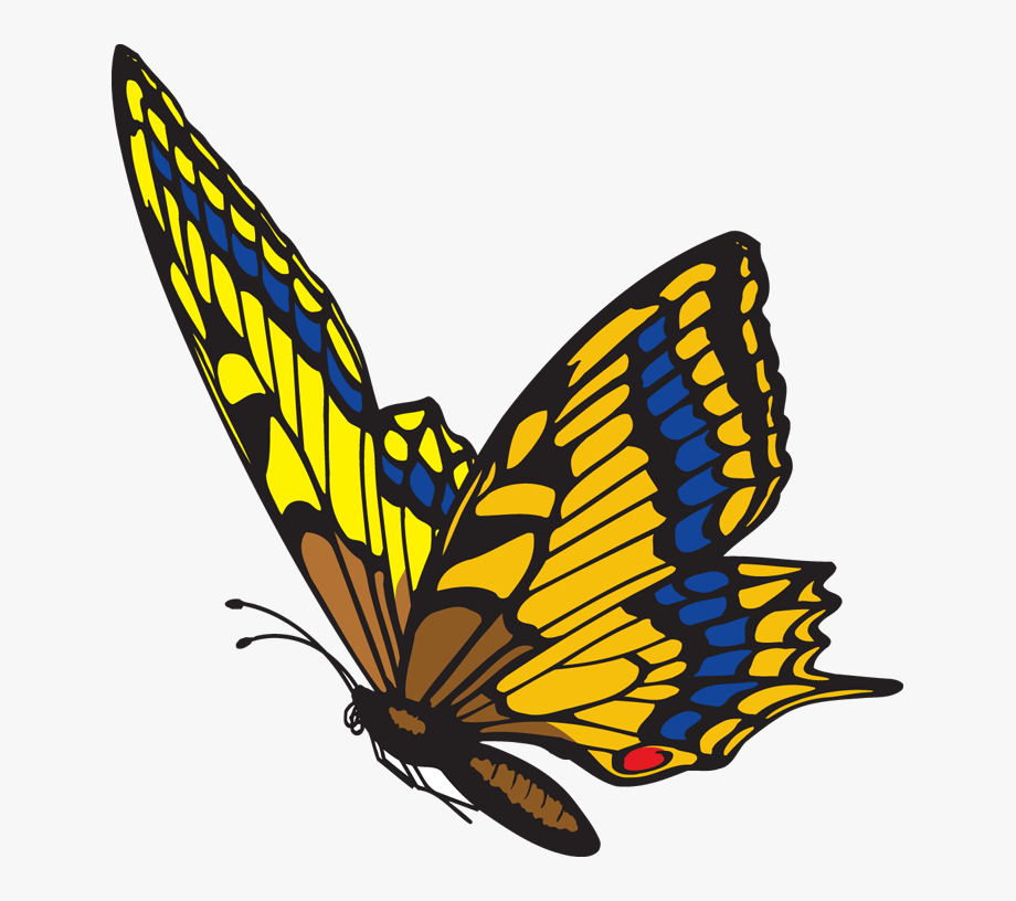 Flying Butterfly Clip Art