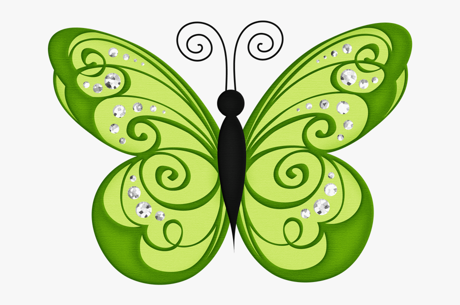 Green butterfly clipart.