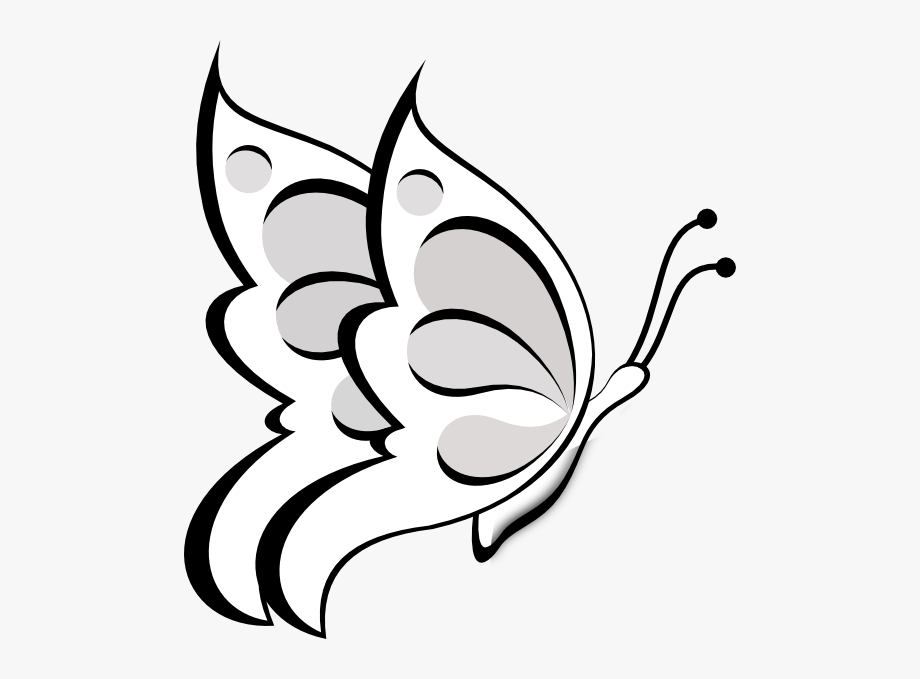 Butterfly clipart outline.