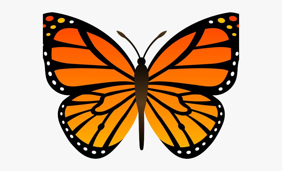 Monarch Butterfly Clipart Free Printable