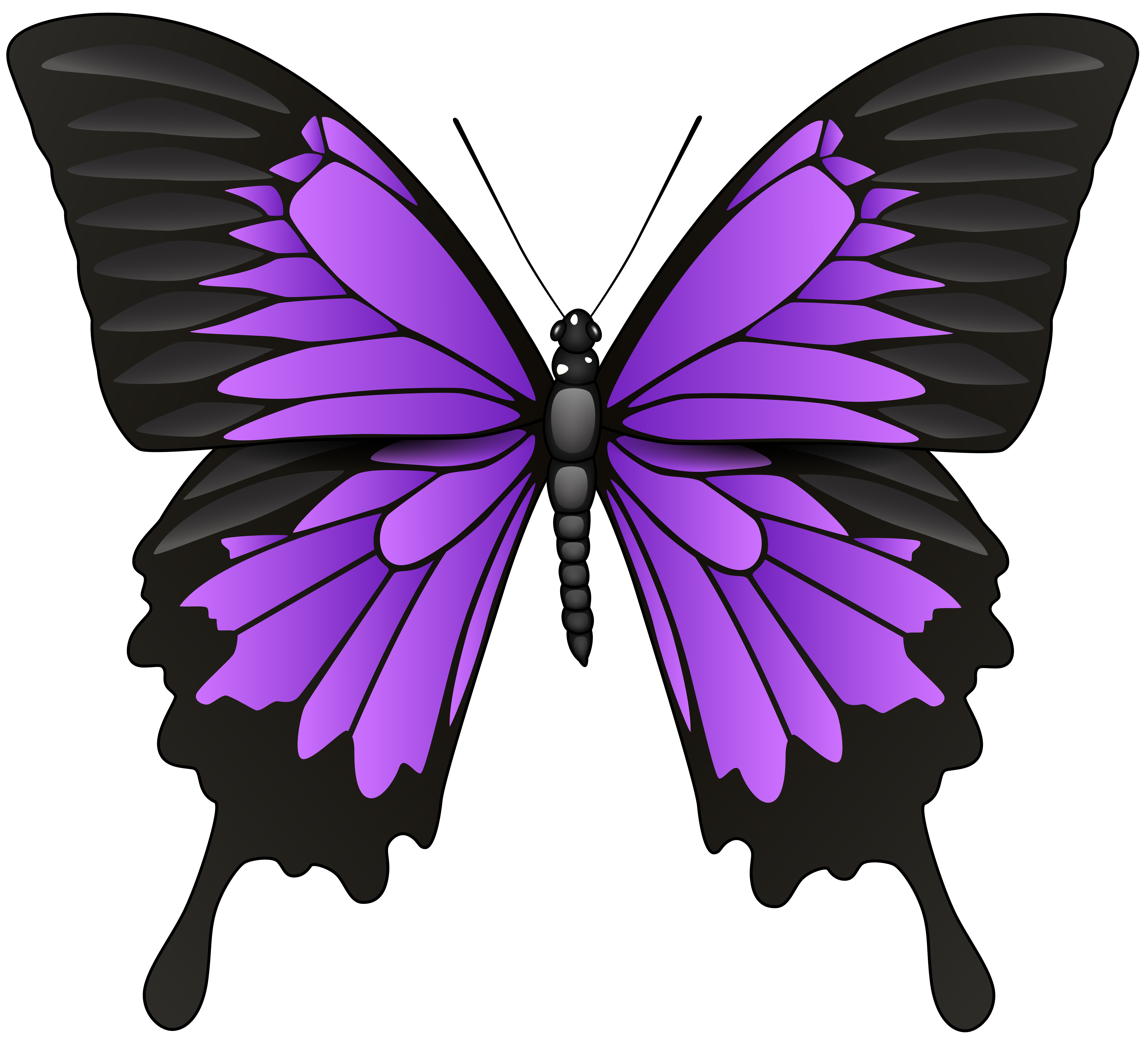 Purple Butterfly PNG Clip Art