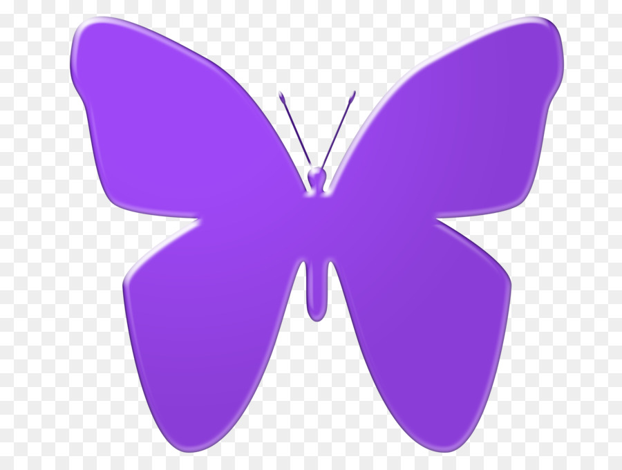 Butterfly purple violet.