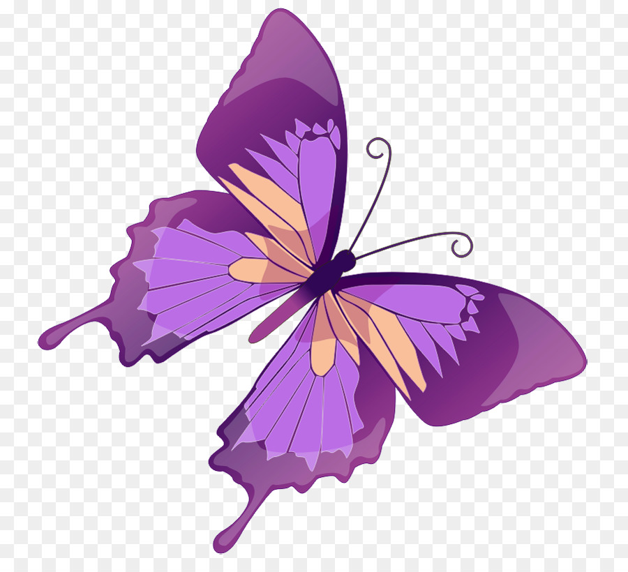 Purple flower clipart.