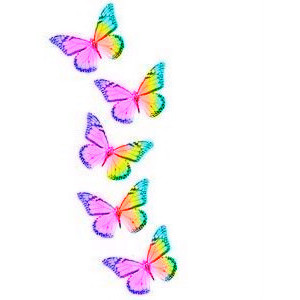 Free rainbow butterfly.