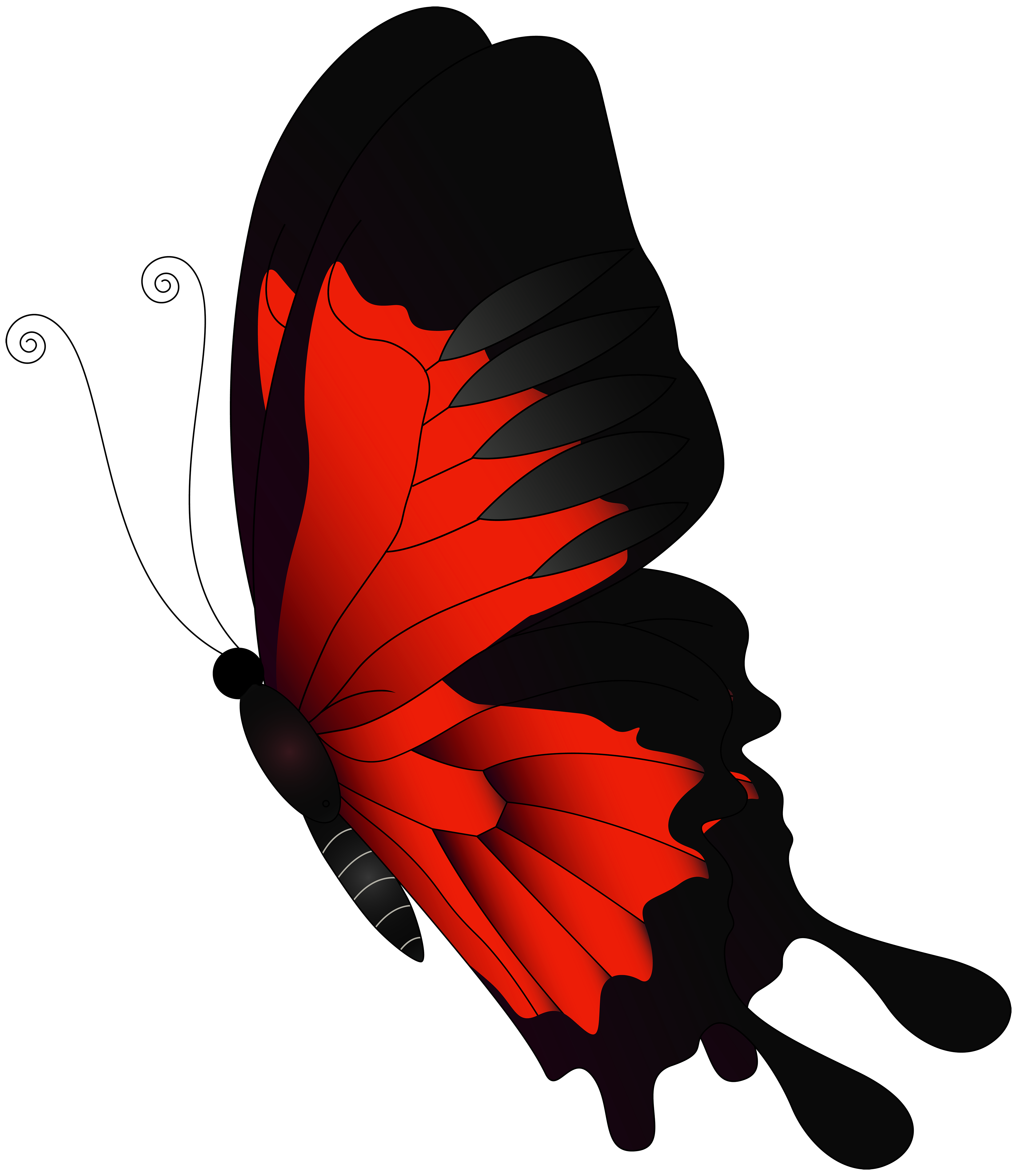 Red flying butterfly.