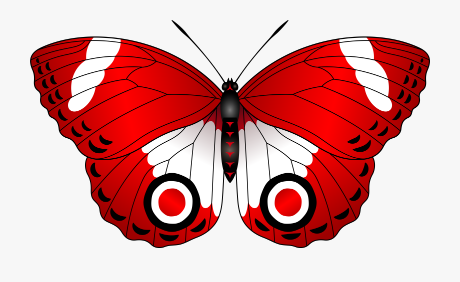 Butterfly red clip.