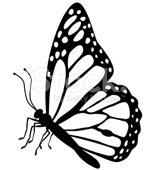 A vector illustration of a monarch butterfly side view in