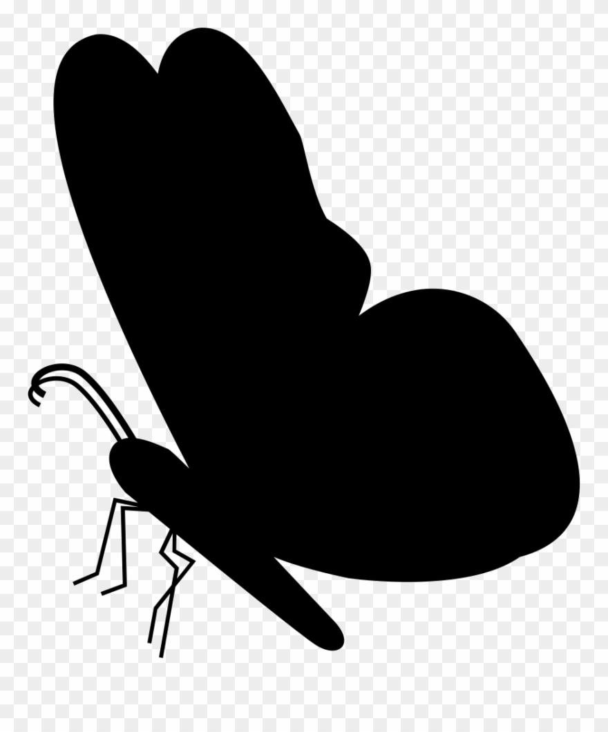 Black Butterfly Shape From Side View Comments