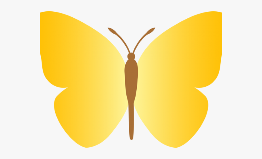 Butterfly clipart simple.