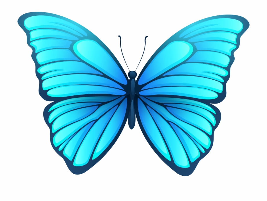 Butterfly png images.