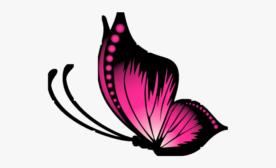 Butterfly Design Clipart Transparent Background