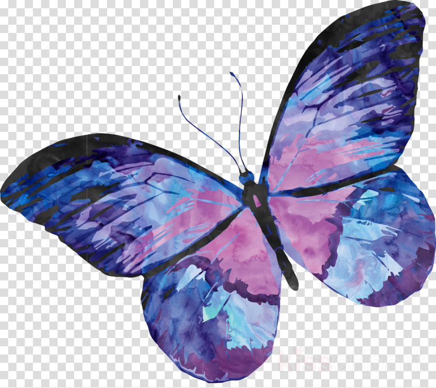 Watercolor butterfly background.