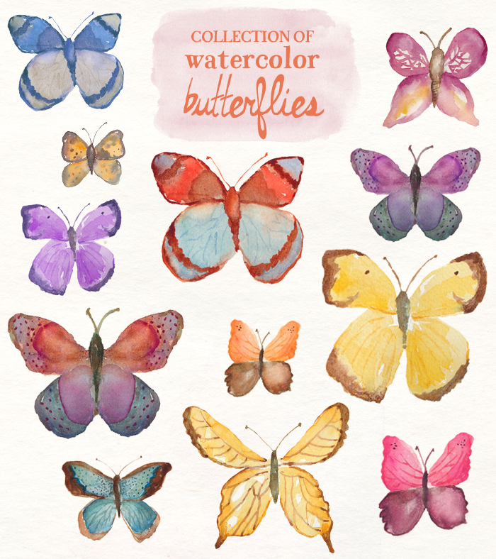 Watercolor butterfly clip.