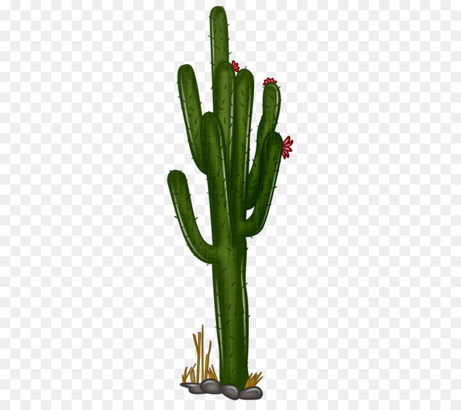 Free Cactus Clipart Transparent Background, Download Free