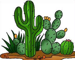 Cactus clipart desert.