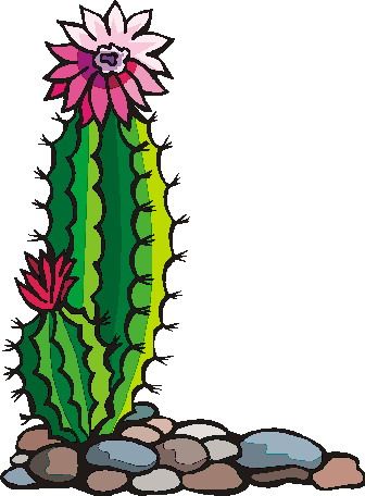 Gallery for cactus flower clipart