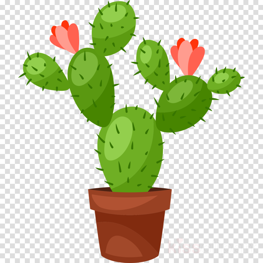 Cactus cartoon clipart.