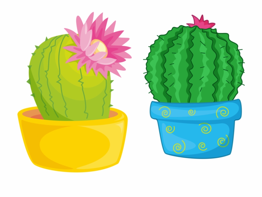 Cactus illustration classroom.