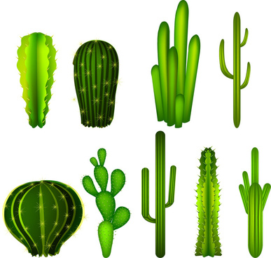 Cactus free vector.