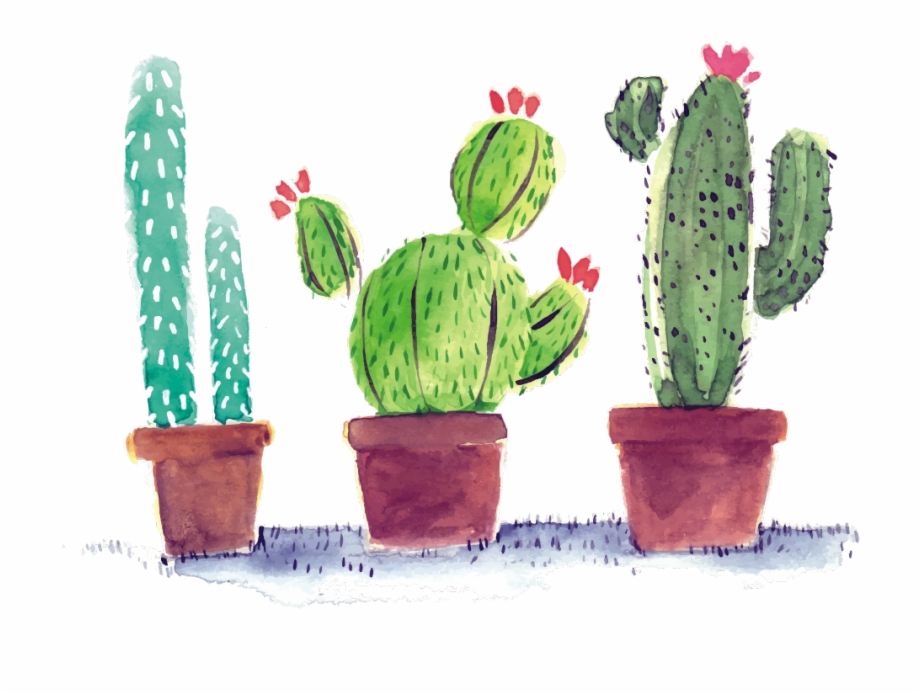 Cactus watercolor watercolor.