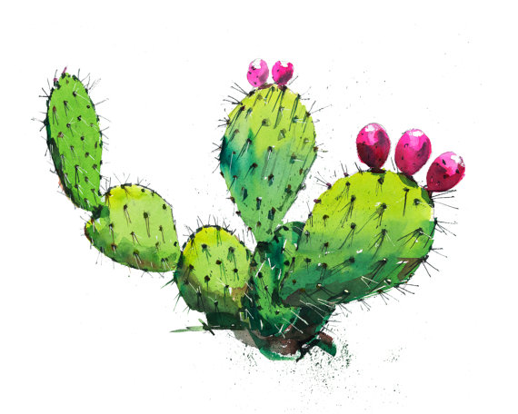 Cactus clipart prickly pear, Cactus prickly pear Transparent