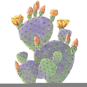 Prickly Pear Cactus Clipart