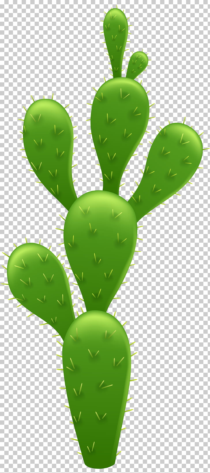 Cactaceae Prickly pear , cactus PNG clipart