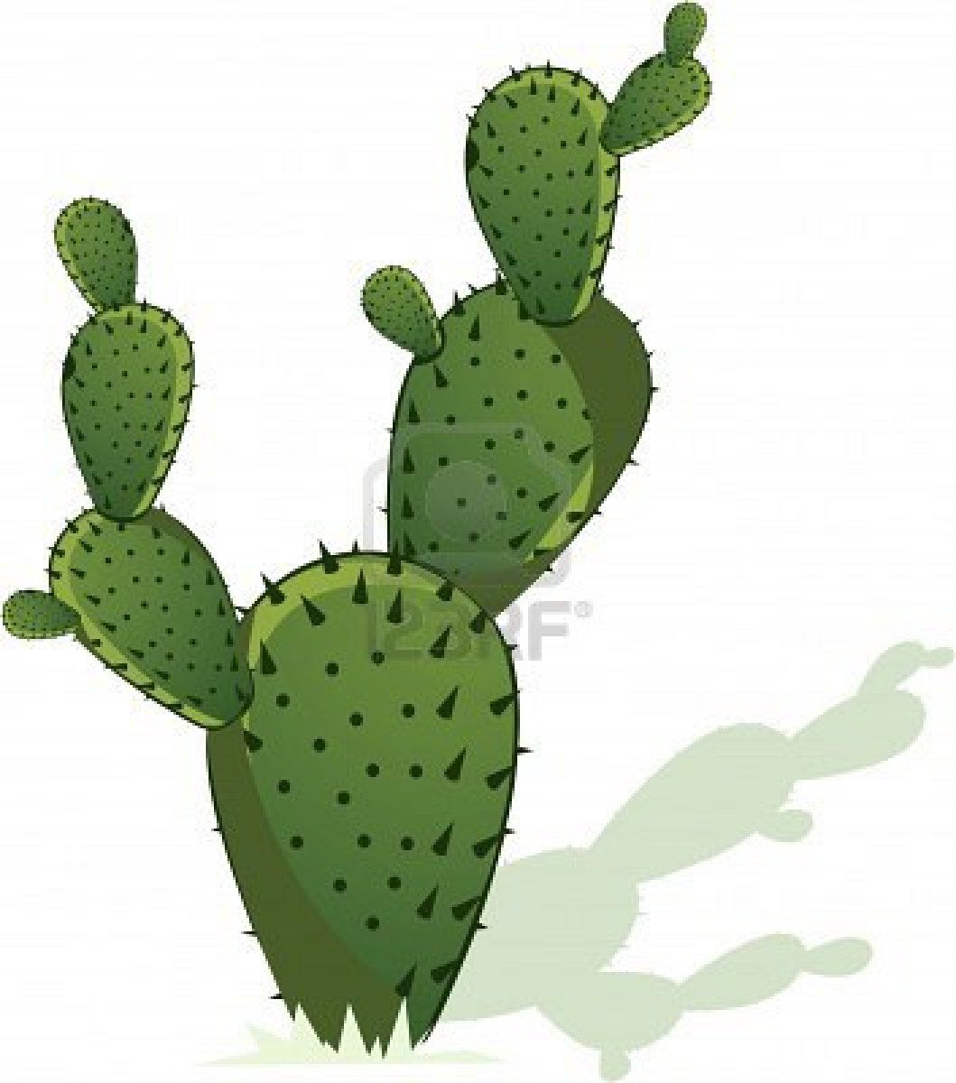 Cactus signs