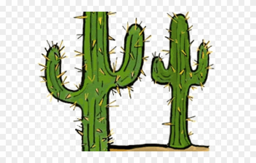 Cactusgreensaguaroplantthorns spines and.