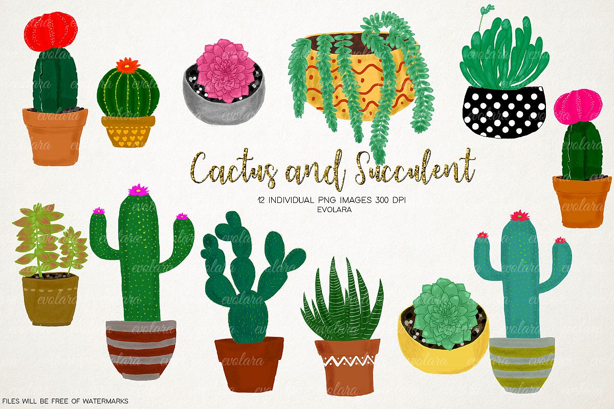 cactus clipart free succulent