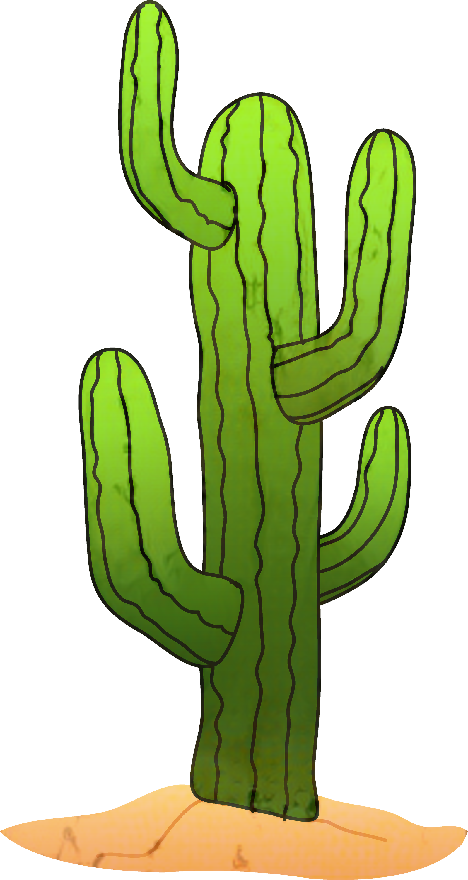 Cactus Clip art Saguaro Portable Network Graphics Image