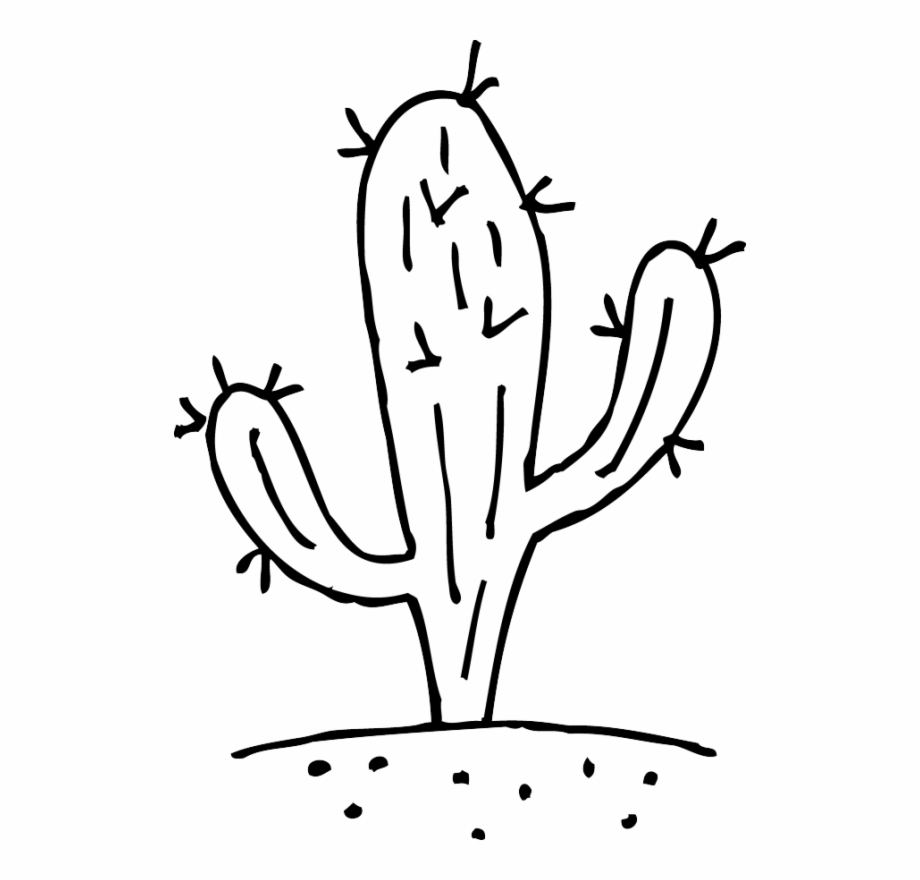 Png Free Library Plant Drawing At Getdrawings Com For