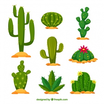 Cactus vectors photos.