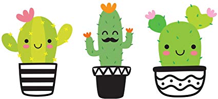 Pack cute cactus.