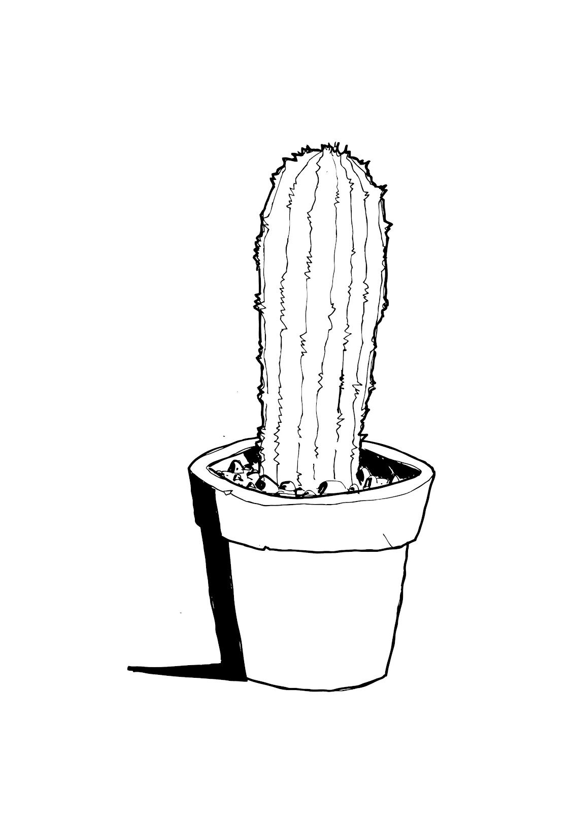 Drawn Cactus minimalist