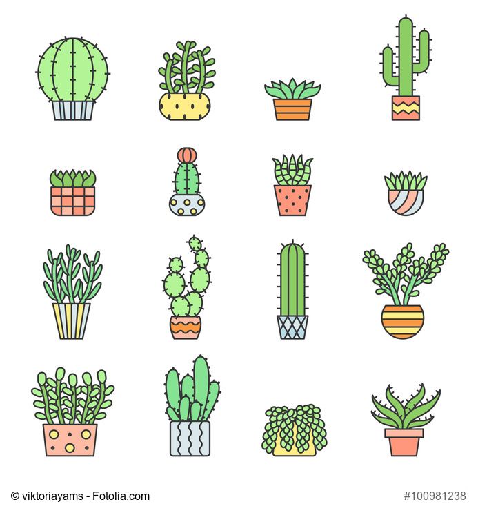 Succulents and cacti outline multicolored vector icons set