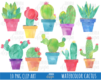 50 cactus watercolor.