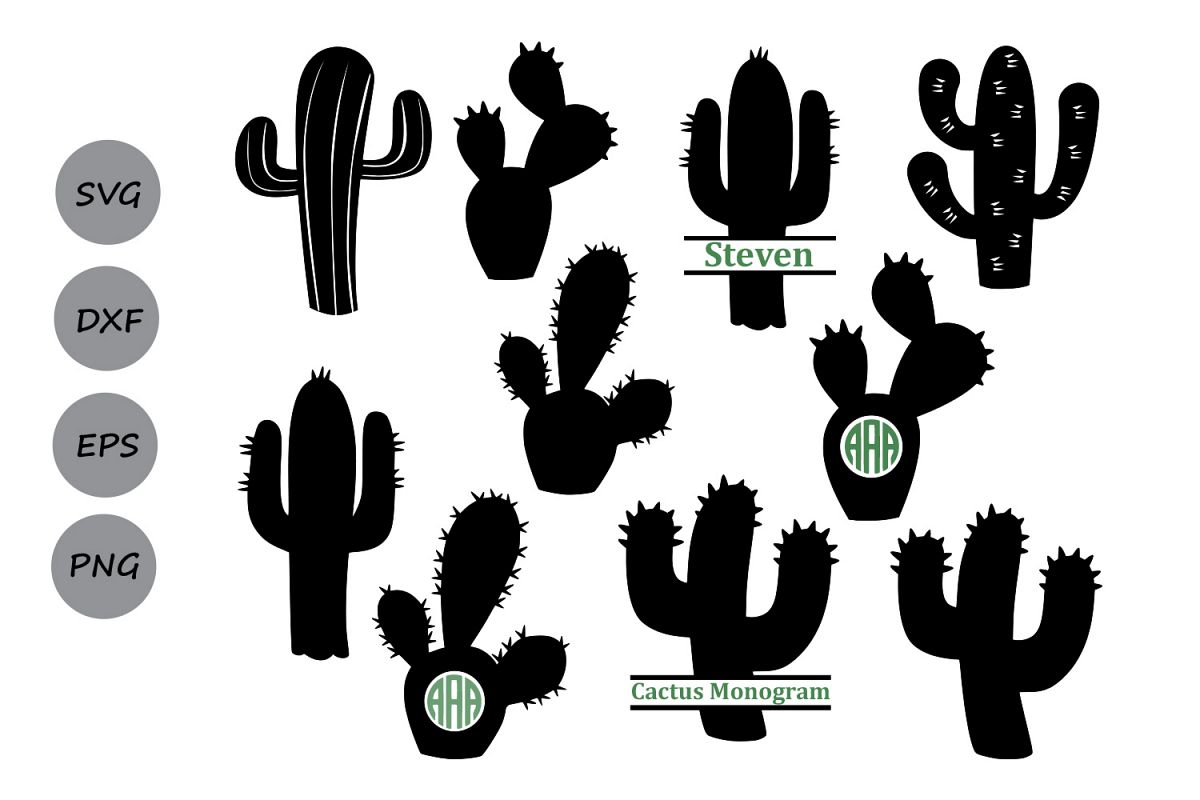 Cactus svg cactus.