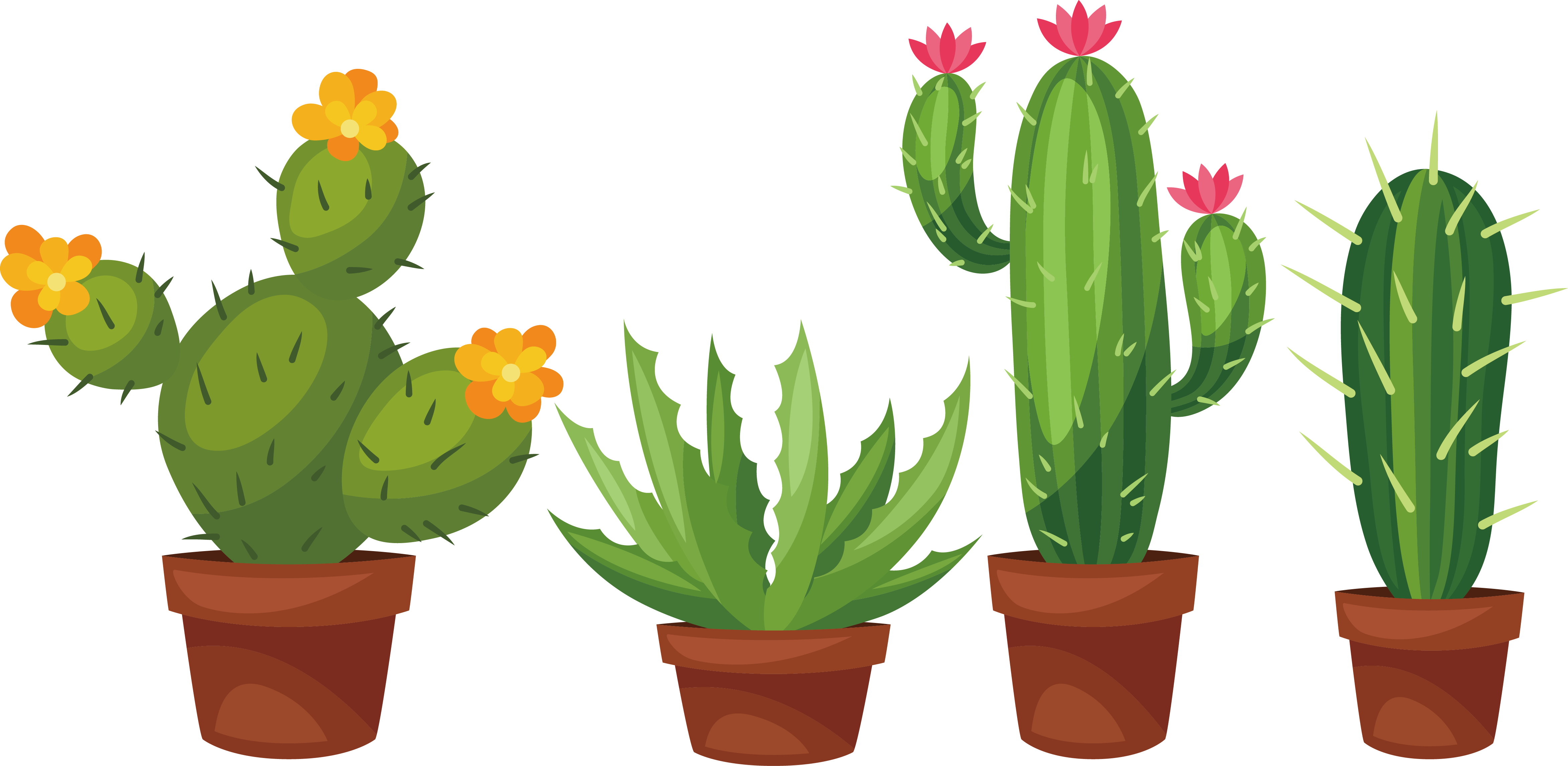 Cactus clipart free succulent pictures on Cliparts Pub 2020! 🔝