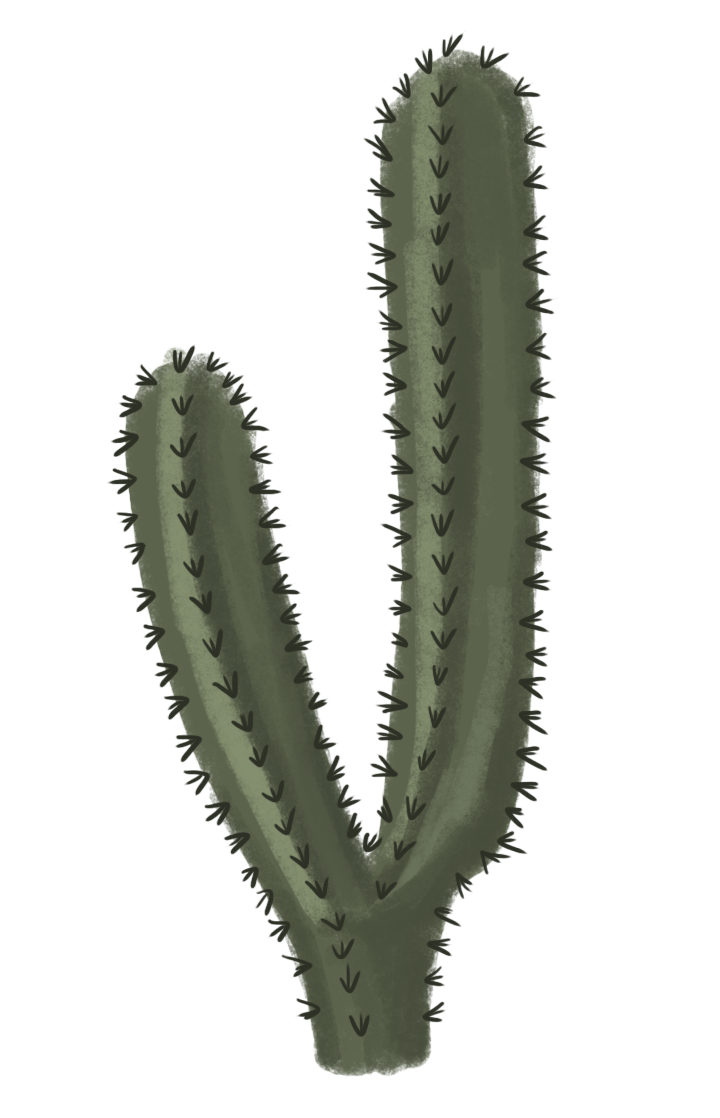 Cactus png images.