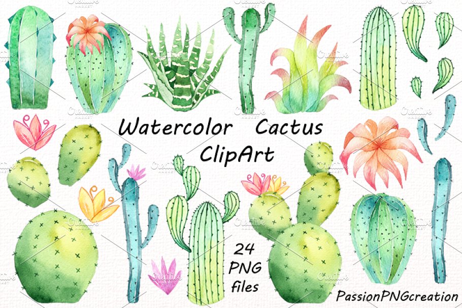 Watercolor cactus clipart.