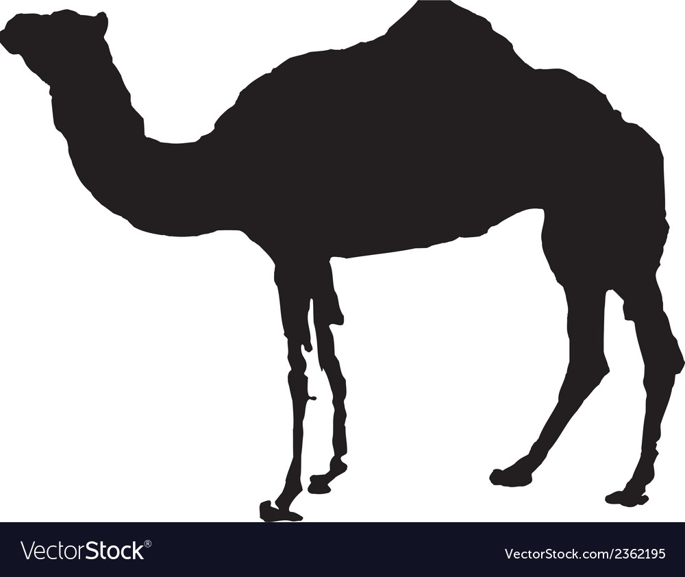 Camel clipart design.
