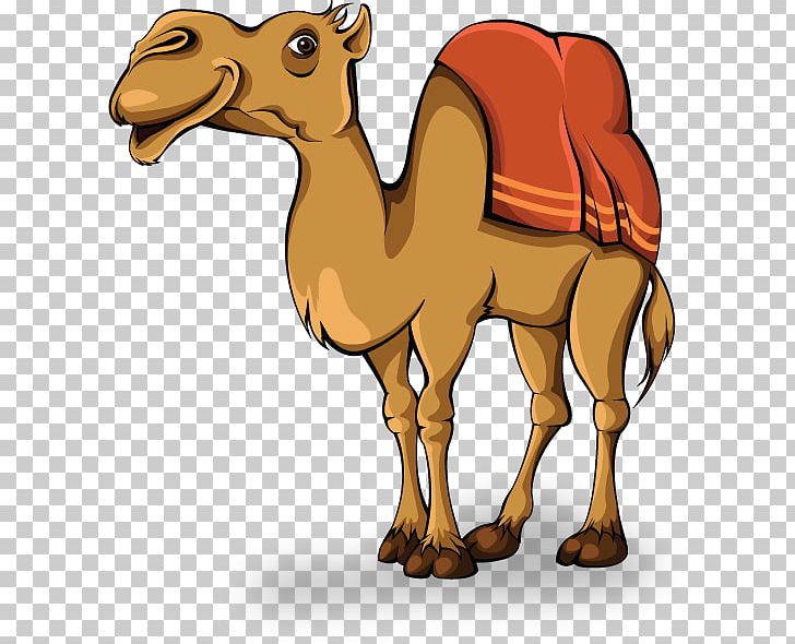 Camel animation png.