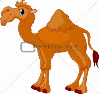 Funny camel cartoon.