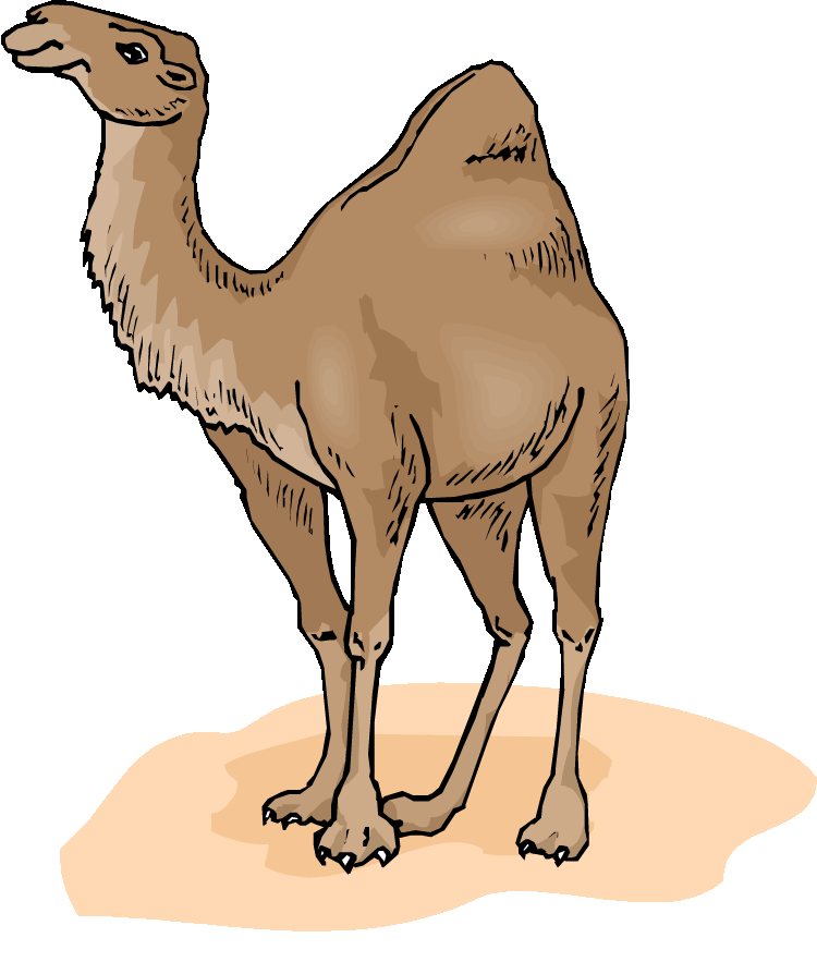 Free Camel Cliparts, Download Free Clip Art, Free Clip Art