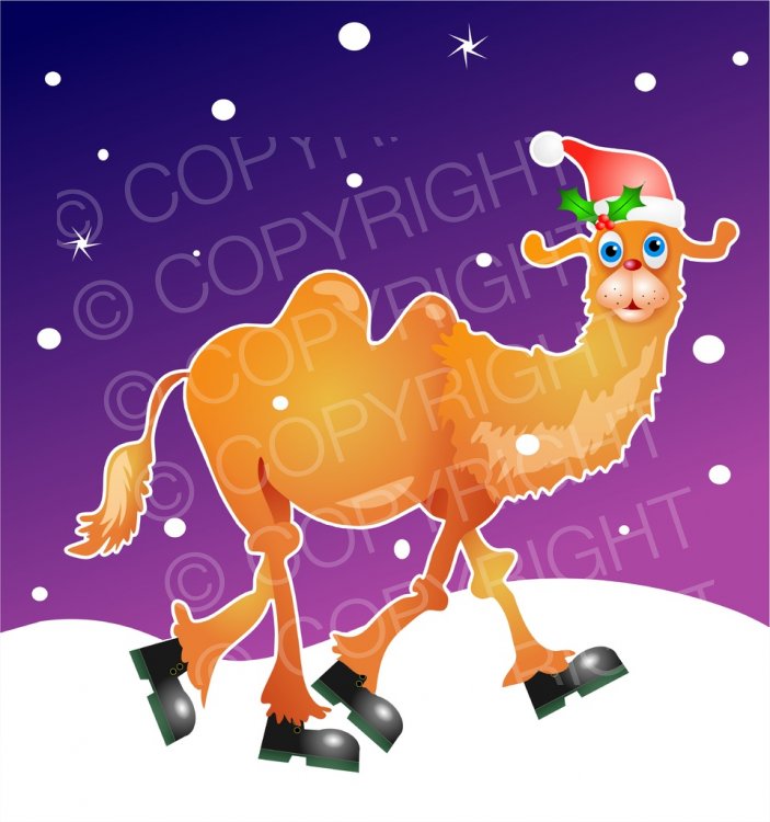 Winter camel cartoon.
