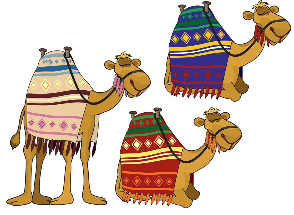  camels nativity.