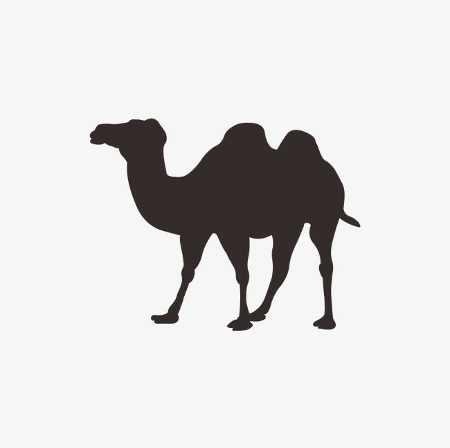 Camel png clipart.